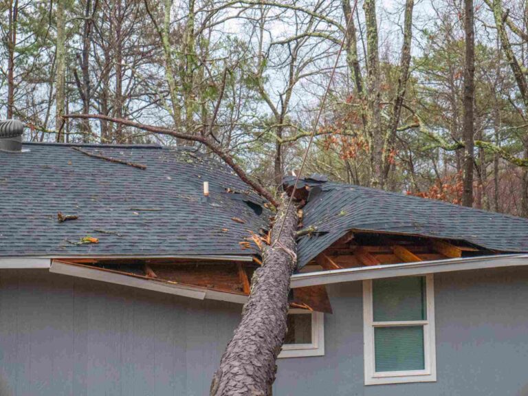 Storm damage to Las Vegas home with fallen tree crashing through roof, requiring emergency roof repair and structural restoration services